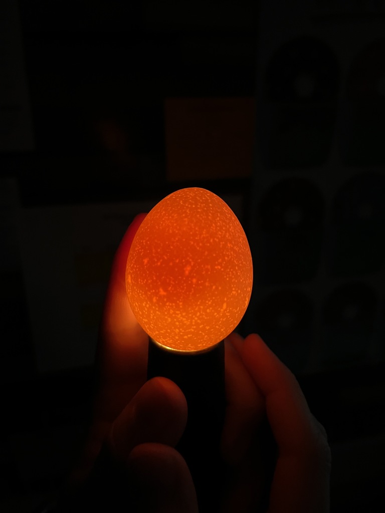 Candled Egg 