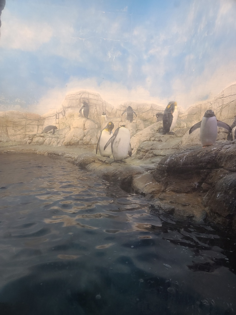 Indianapolis Zoo